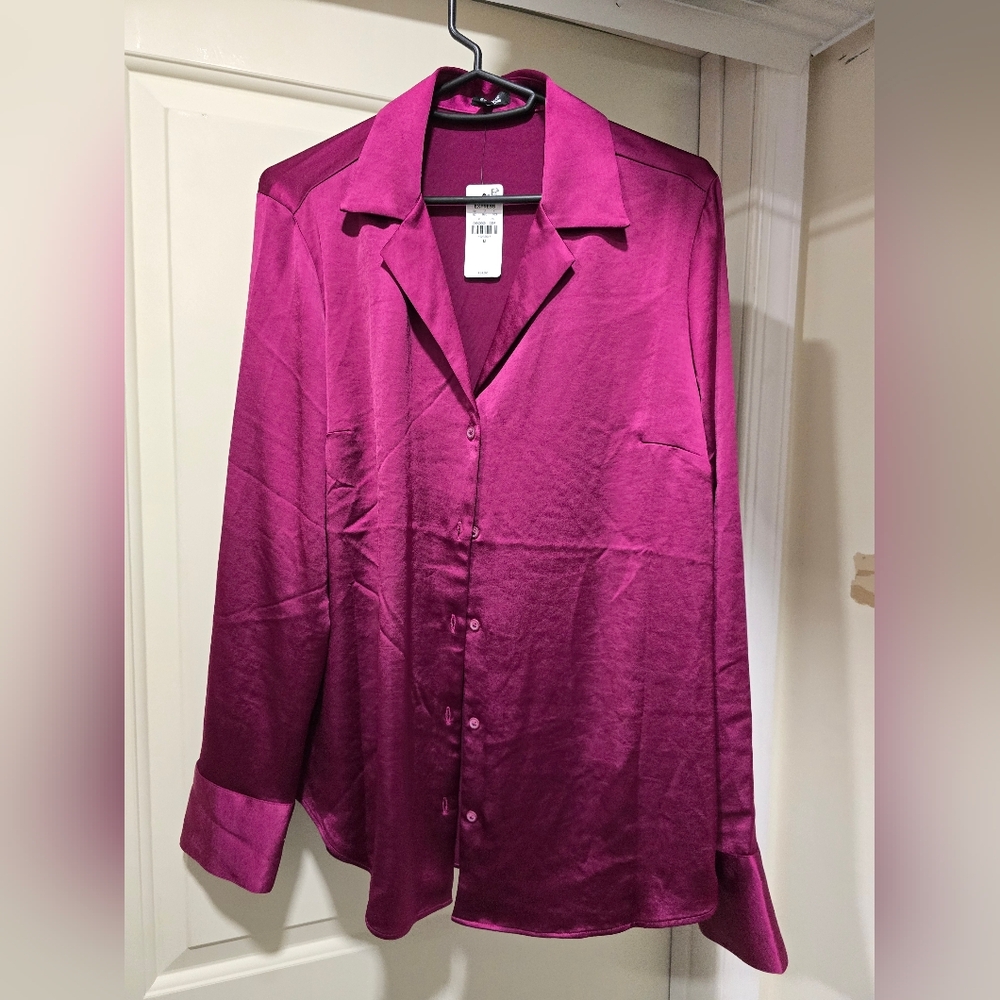 Express Long Sleeve Satin Blouse